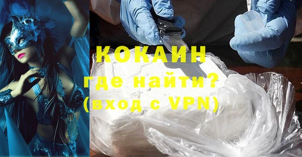 амф Новозыбков