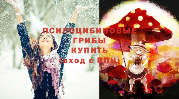 Альфа ПВП Новокубанск