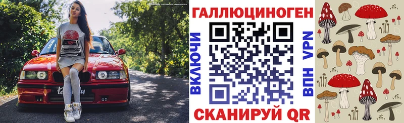 купить   Баймак  Галлюциногенные грибы Magic Shrooms 